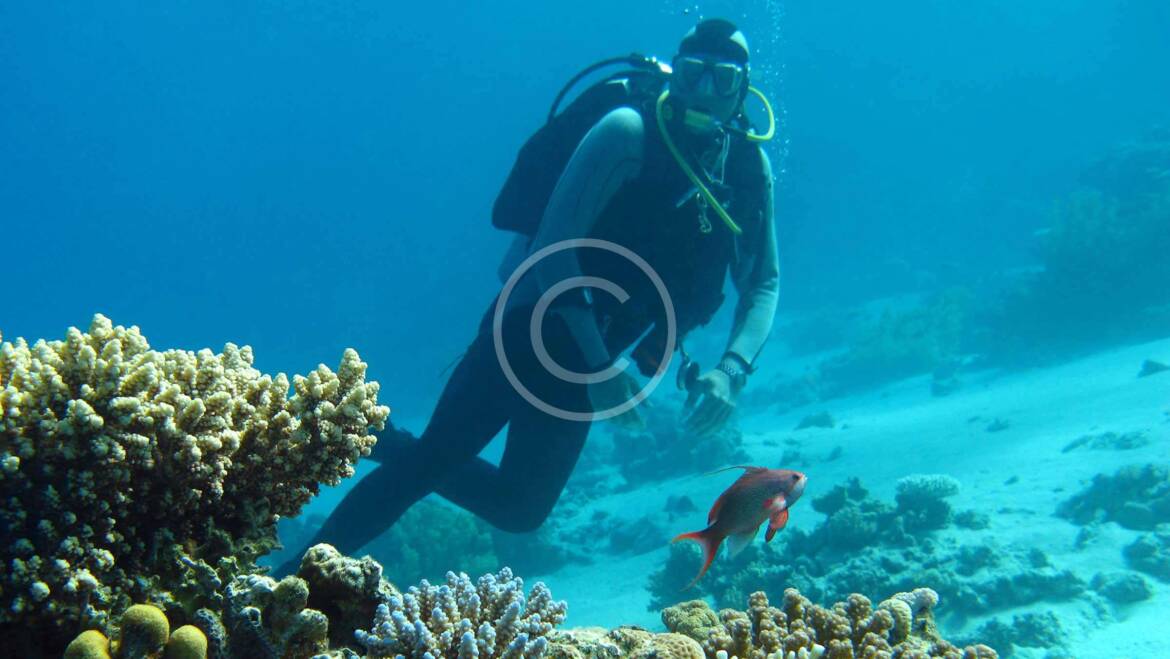 Underwater Family Photoshoot